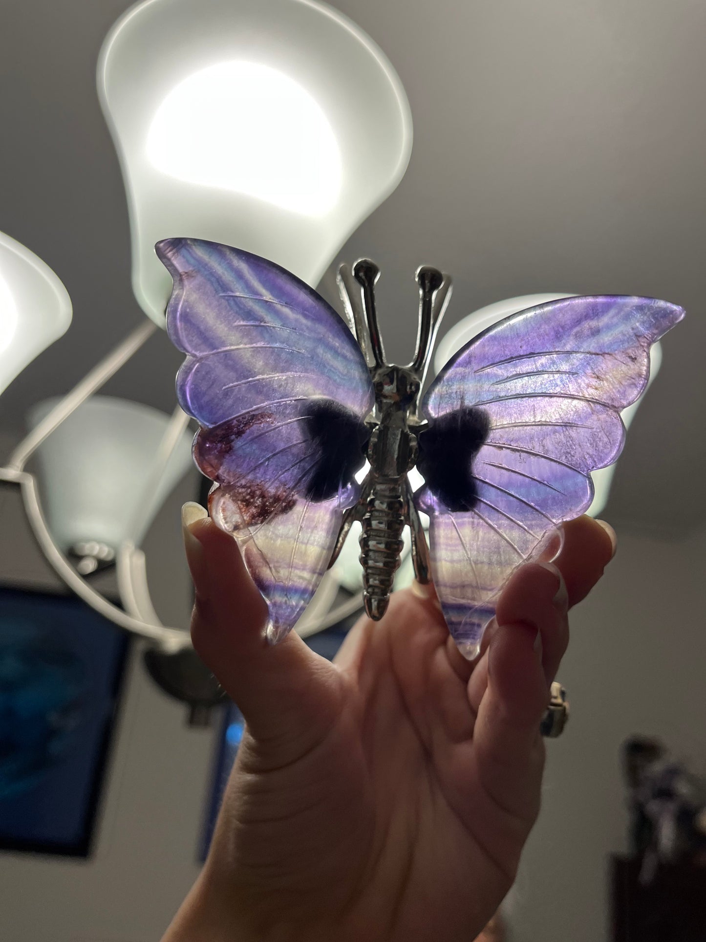 Fluorite Butterfly